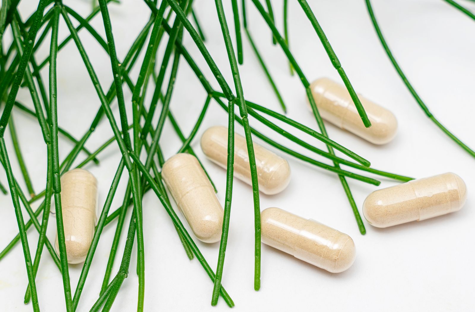 Low-Dose Naltrexone (LDN)